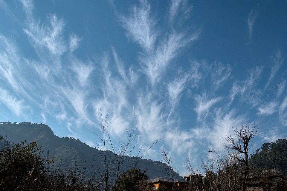 Photo illustrating the English word “blue” (azul)