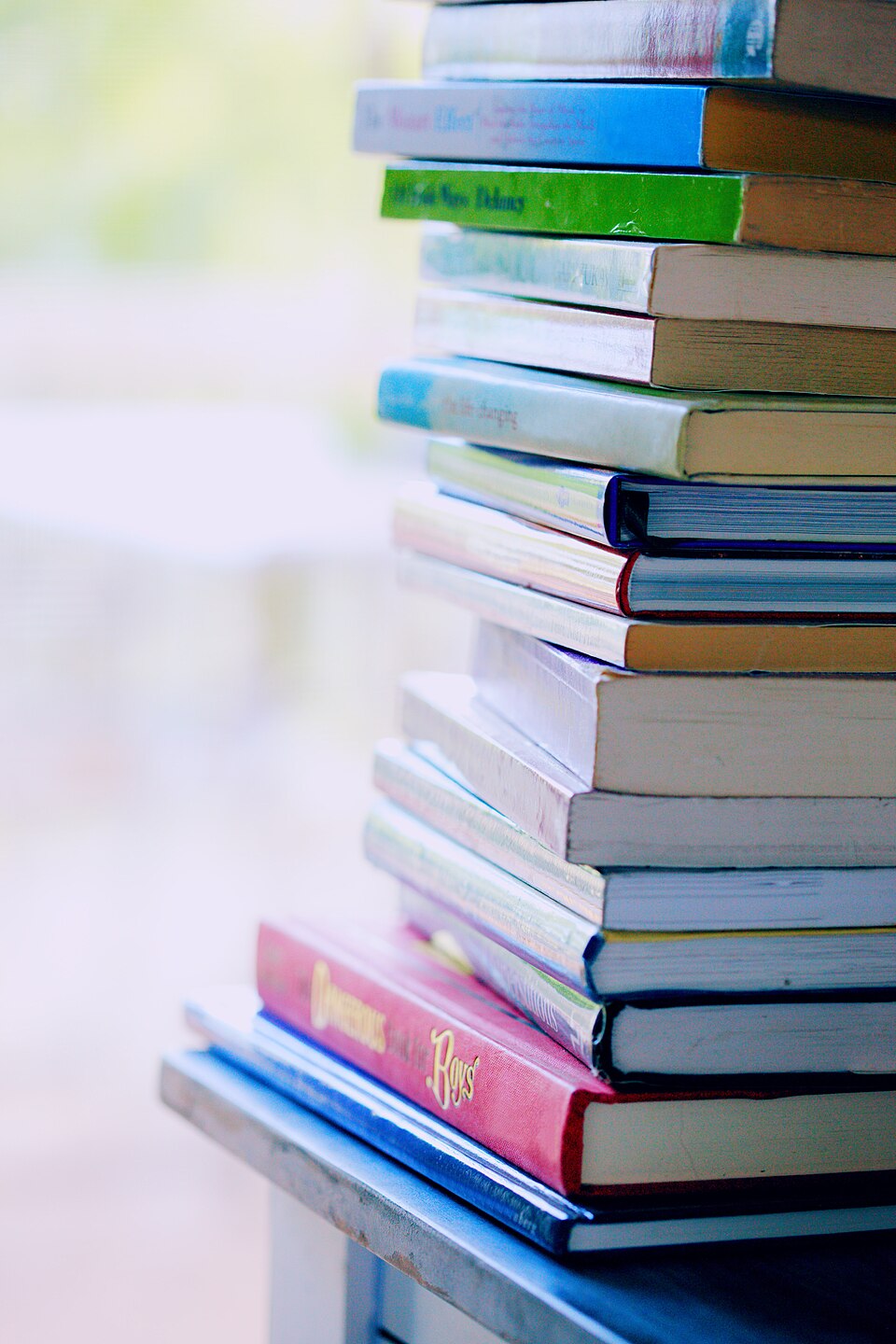 Photo illustrating the English word “book” (libro)