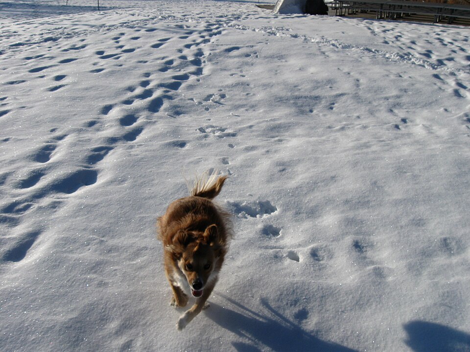 Photo illustrating the English word “come” (venir)