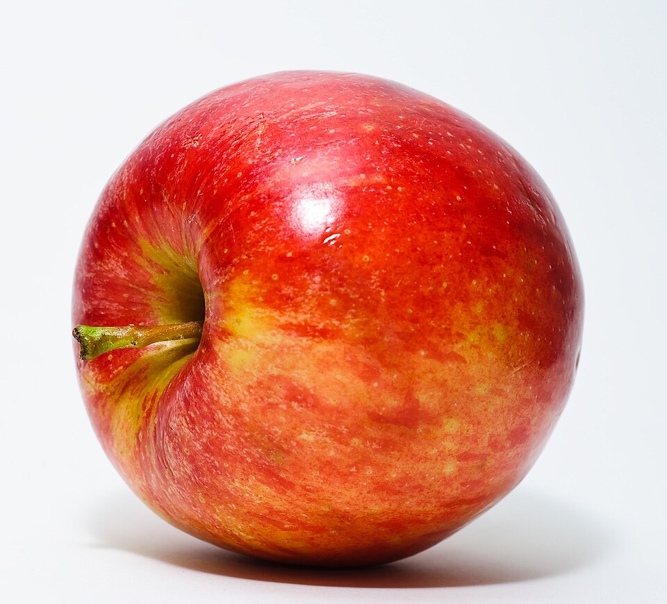 Photo illustrating the English word “red” (rojo)