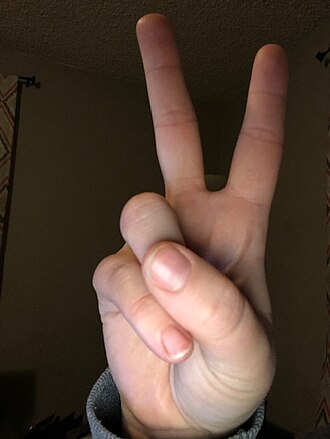 Photo illustrating the English word “two” (dos)