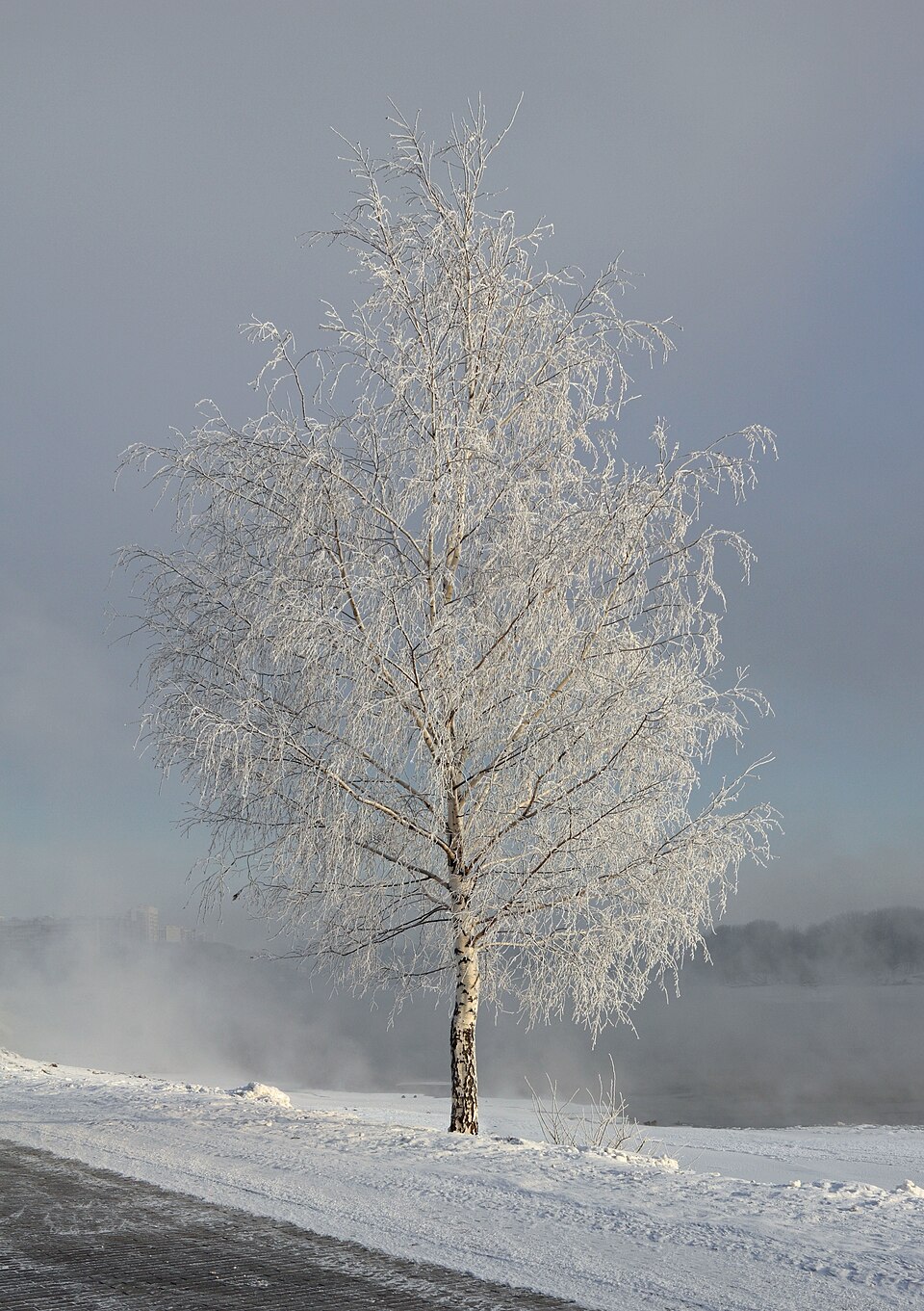 Photo illustrating the English word “white” (blanco)